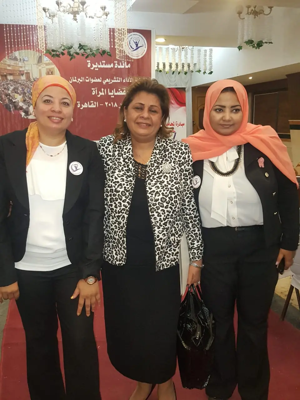 Photograph 8 from: The Egyptian Women Lawyers Initiative