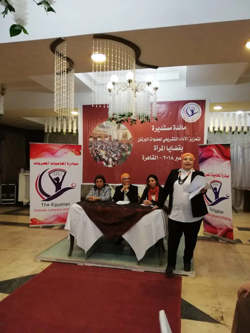 Photograph 10 from: The Egyptian Women Lawyers Initiative