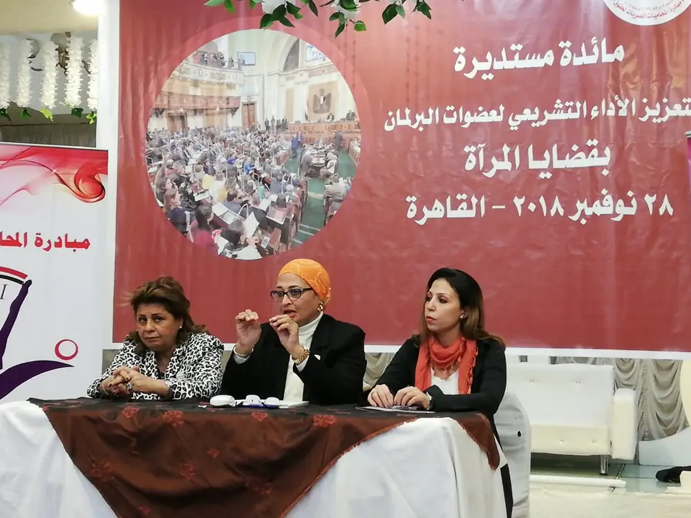 Photograph 13 from: The Egyptian Women Lawyers Initiative