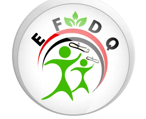 The Foundation's Strategic Plan for 2018