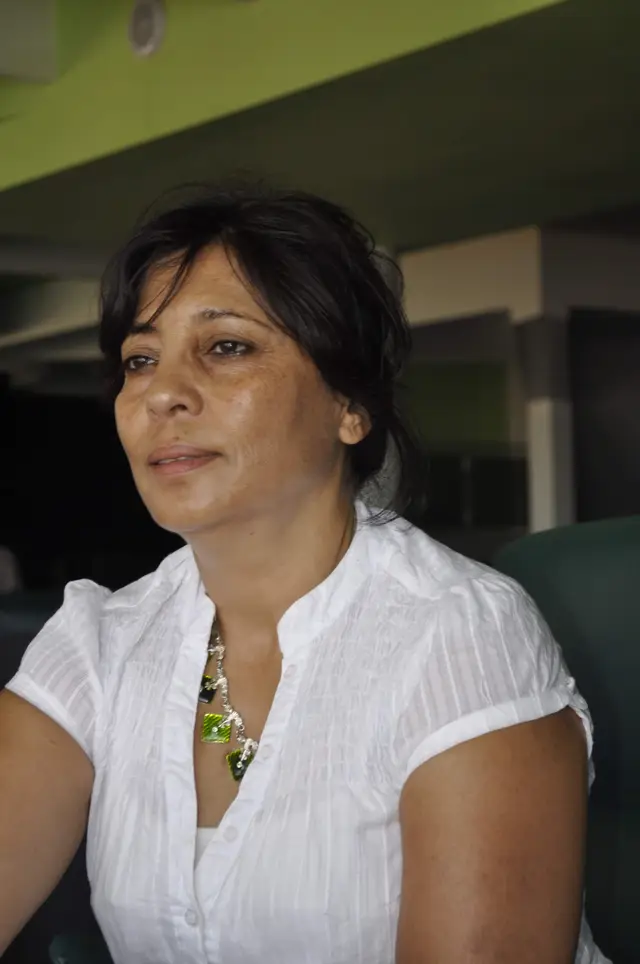 الشجرة العجوز
