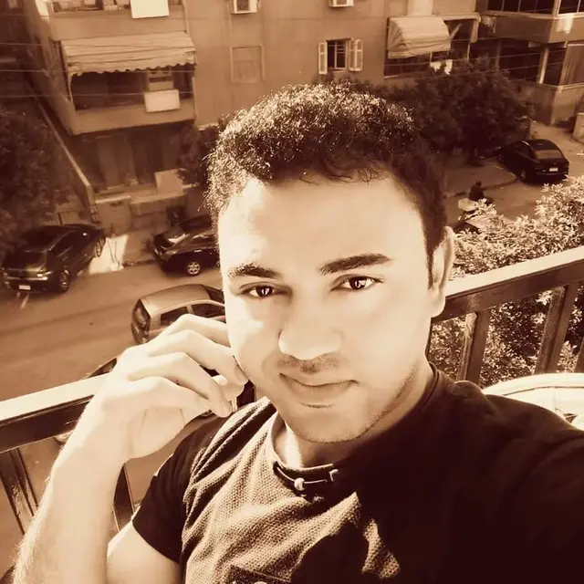 محمد ربيع حماد