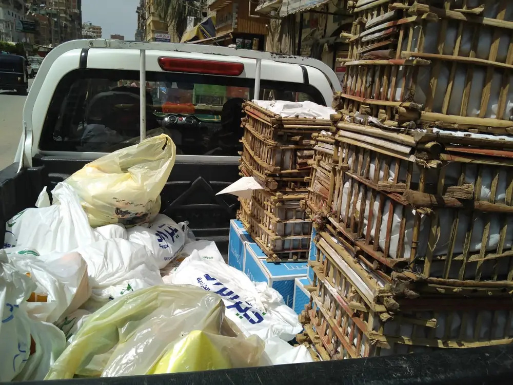 صورة 1 من: مساهمة المؤسسة المصرية للتنمية ووالجودة في توفير احتياجات مستشفى العزل بكفر الزيات