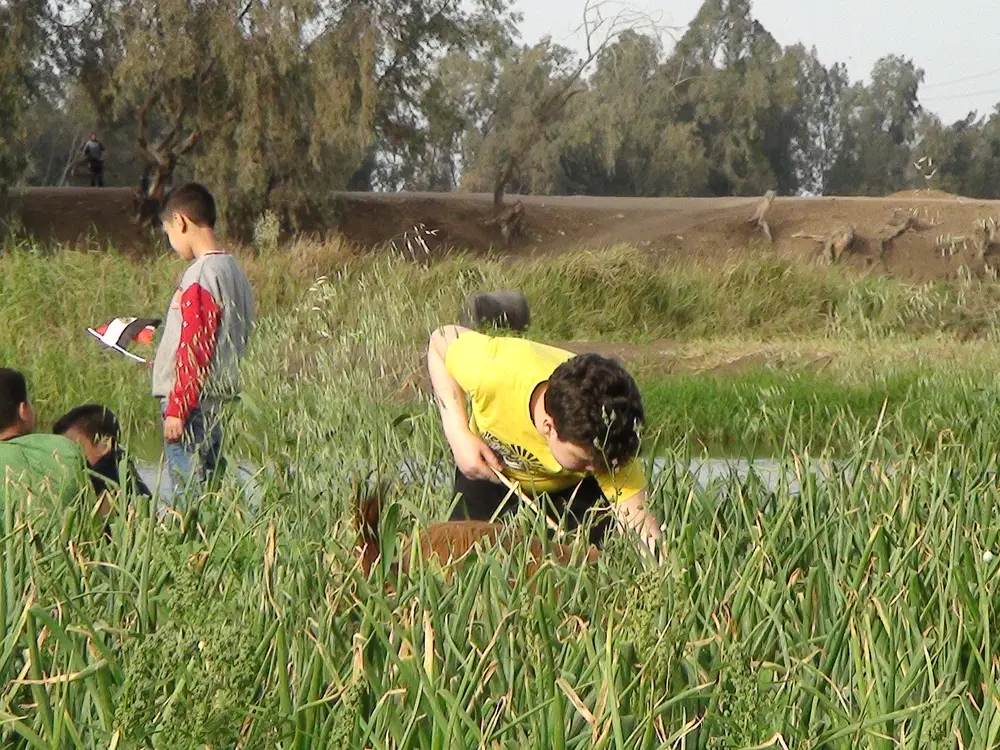 Photograph 9 from: Trips to open spaces